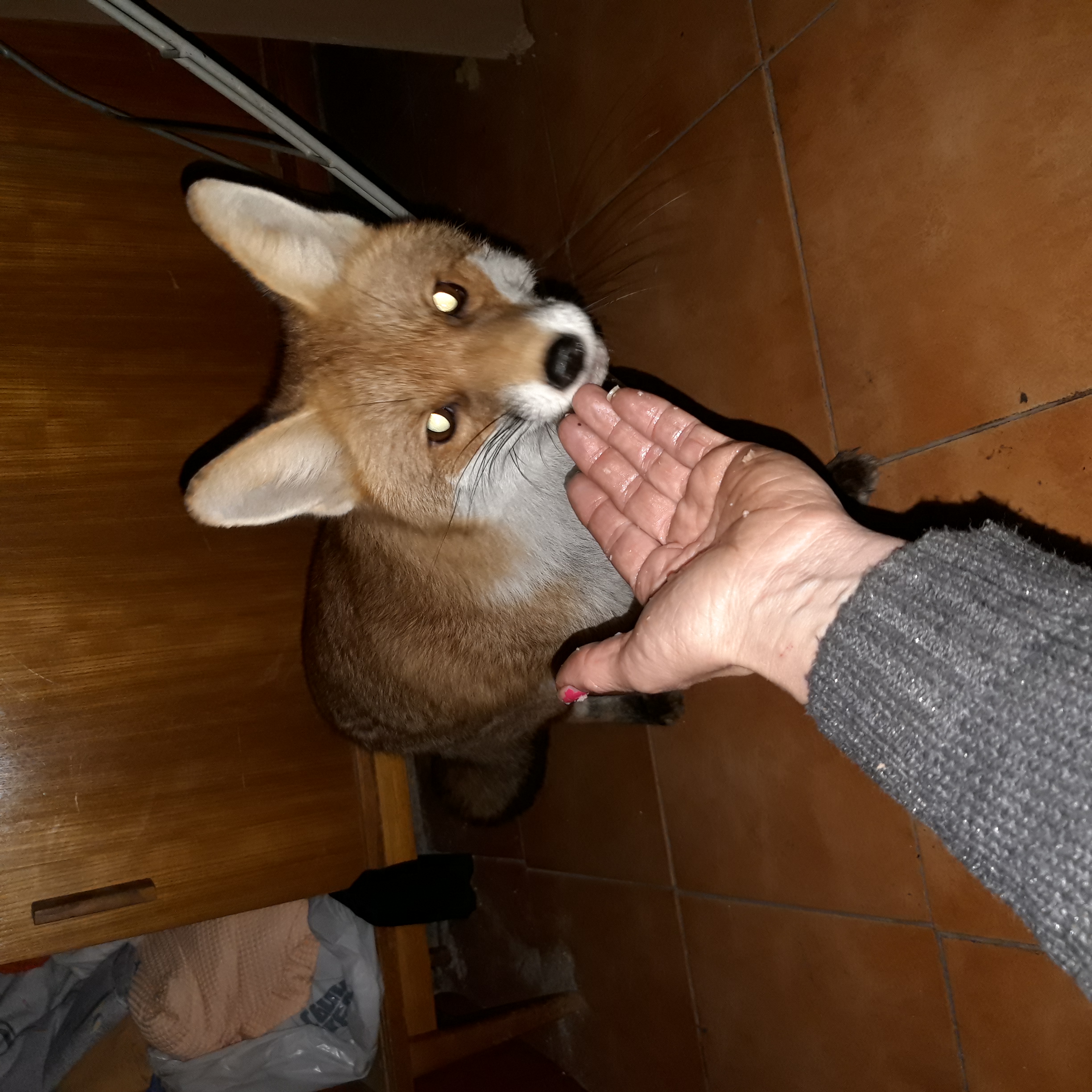 20190101_131711